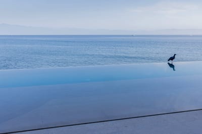 Casa Valhalla, 4–6-Bedroom Villa in El Farallón, Punta Mita — photo 5