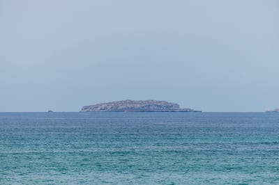 Estate Venado, 5-Bedroom Estate in Ranchos Estates, Punta Mita — photo 3