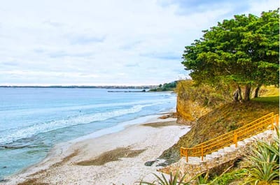 Estate Venado, 5-Bedroom Estate in Ranchos Estates, Punta Mita — photo 4
